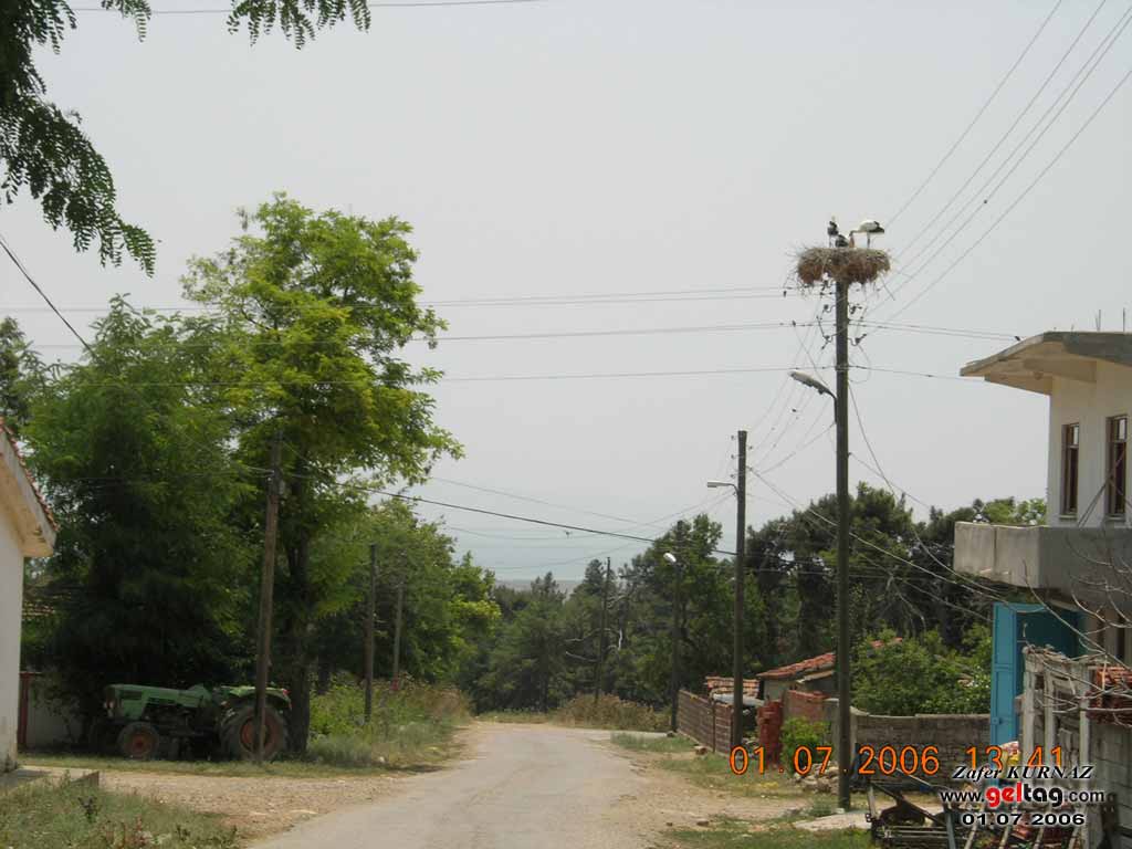 Geltag Fotoğrafları