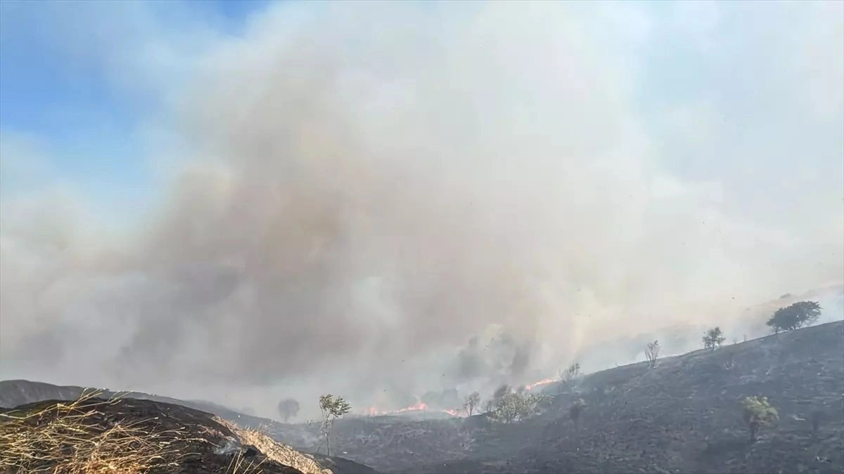 Demirtepe Doğan Aslan'da Yangın - 250 Dönüm Alan Zarar Gördü